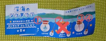 가챠 시즈오카현 한정판 심해의 친구들 해파리 갑각류 클리오네 작은 병