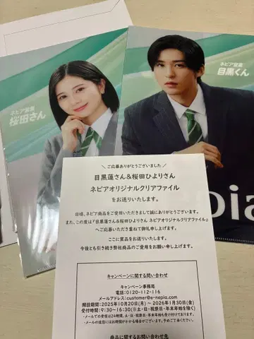 네피아 nepia 클리어 파일 메구로 렌 사쿠라다 히요리