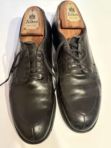 Alden V 칩 바니스뉴욕 별주