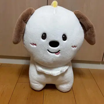 RIIZE 앤톤 40cm 봉제 인형
