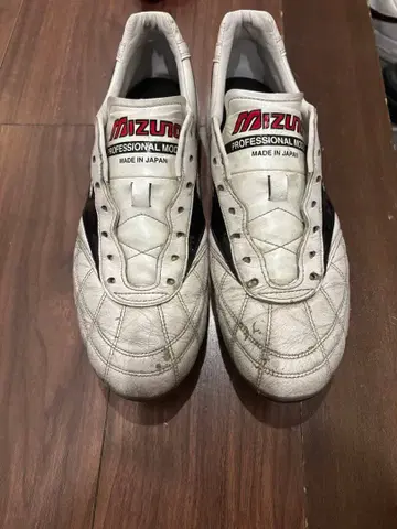 모렐리아 2 JAPAN