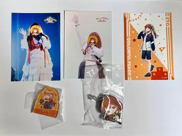 컬러풀 피치 에토 묶음 판매