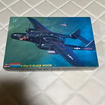 추가 가격 인하 P-61A/B BLACK WIDOW 1:48