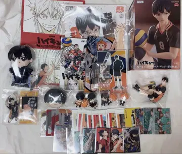 하이큐 굿즈 묶음 판매 카게야마 토비오