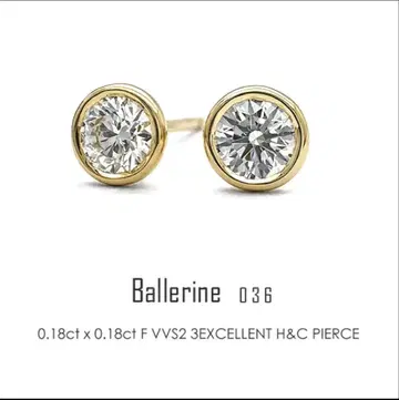 플래그스 FLAGS 다이아 플라티나 귀걸이 한쪽 0.18ct