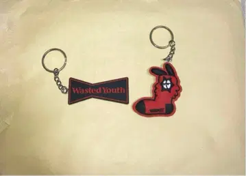 Whimsy Socks x Wasted Youth 키링