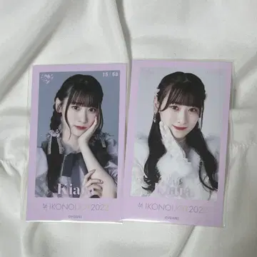 이코럽 사이토 쥬라 이코노이조이 2022 미니 포토 컴프