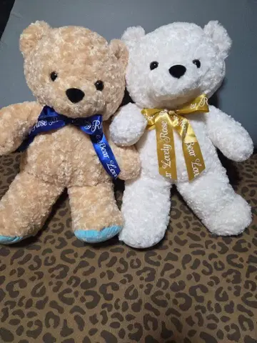 러블리 라이즈 베어 봉제 인형 2개 세트