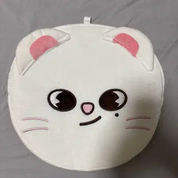 진이레트 jinired 부채 커버 현진 straykids