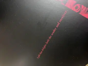 미러숀 피에르 가르뎅 캐시미어 100% 머플러 새상품 2개 세트