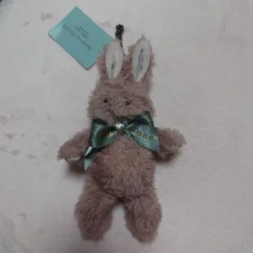 카논 토끼 참
