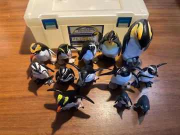 입체 도감 펭귄 박스 설명서 포함