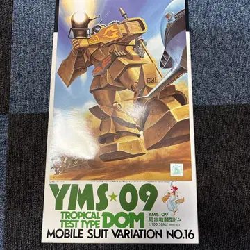 1/100 국지 전투형 돔 YMS-09 트로피컬 테스트 타입