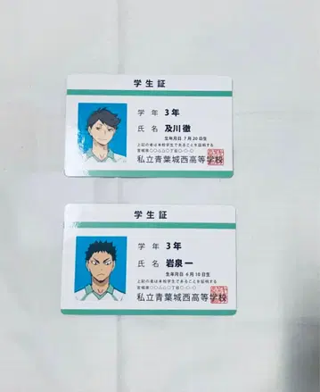 하이큐 버라이어티 카드 학생증 오이카와 이와이즈미