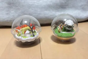 리멘트 포켓몬 포켓몬스터 테라리움 컬렉션 2개 세트