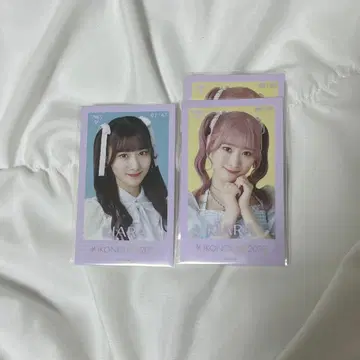 이코럽 사이토 쥬라 미니 사진 이코노이 조이 2023 컴프