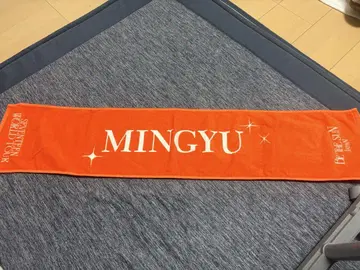 SEVENTEEN 민규 타월