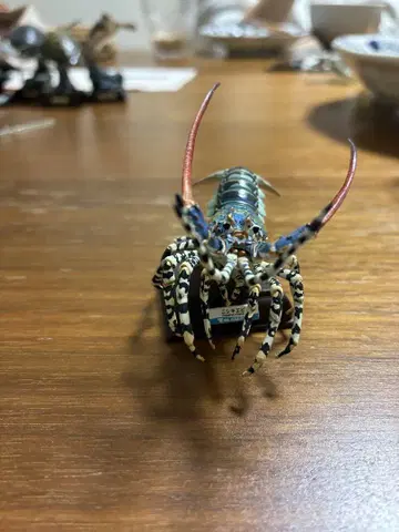 네이처 테크니컬러 니시키에비