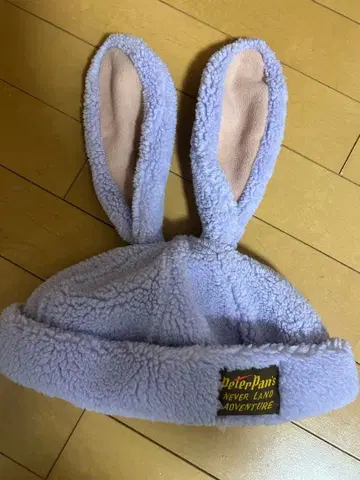 피터팬 잃어버린 아이들 팬캡