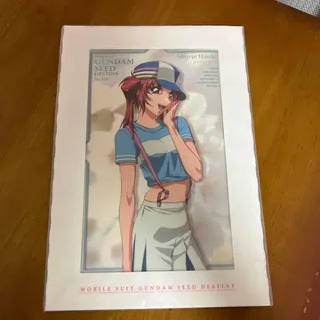 레어 기동전사 건담 SEED DESTINY portrait phase 4