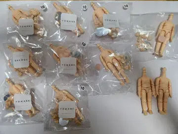 인형 바디 구체관절 모음 세트