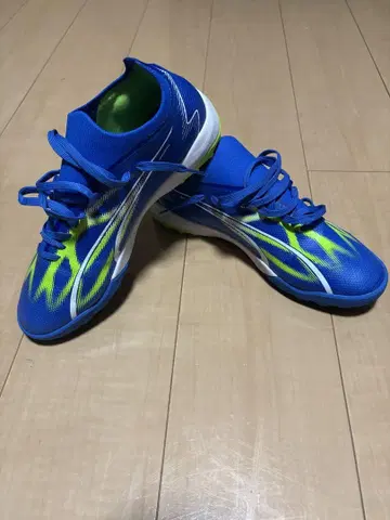 PUMA 트레이닝 슈즈