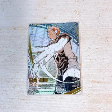 하이큐!! 바보카!! BREAK 히나타 쇼요 p