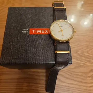 TIMEX 골드 아날로그 시계