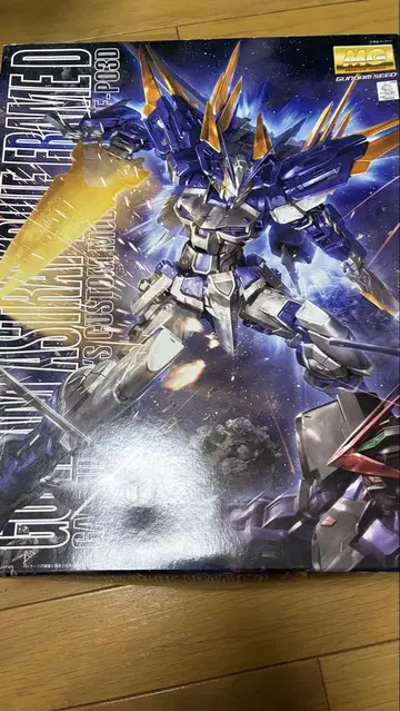 MG 건담 아스트레이 블루 프레임 D 건담 프라모델