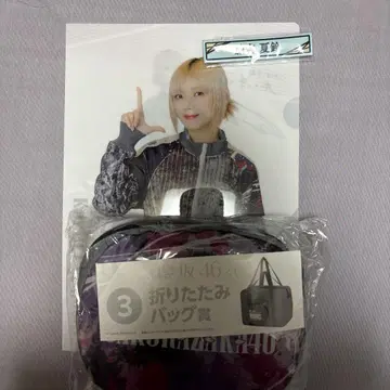 사쿠라자카46 복권 접이식 백 클리어 파일 세트