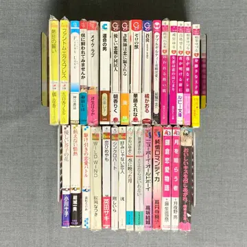 BL 소설 문고 묶음 판매 30권