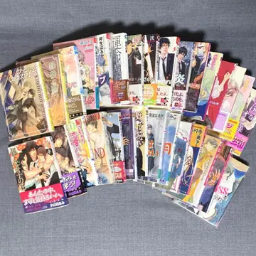 BL 문고 묶음 판매 30권