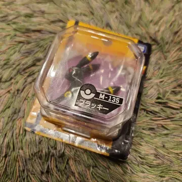 포켓몬 몬코레 블래키 베스트위시