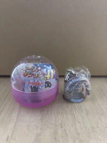 아이돌 호스 미니 컬렉션 어반 시크