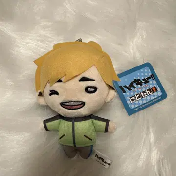 하이큐!! 니토탄 봉제 인형 미야 아츠무