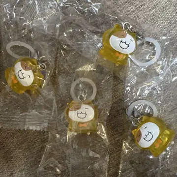 모치냐미 메지루시 액세서리 레인코트 4종