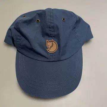 FJALLRAVEN