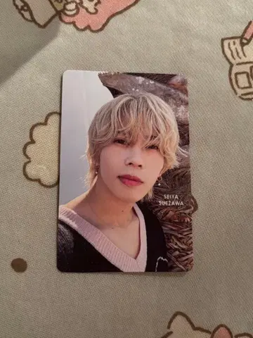 스에자와 세이야 트레이딩 카드 달력