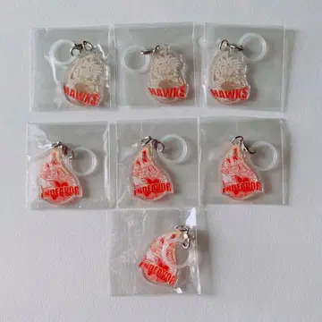 히로아카 엄브렐라 참 호크스 엔데버 7세트