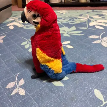 콩고 리얼 봉제 인형