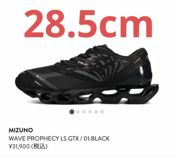 MIZUNO WAVE PROPHECY LS GORE-TEX 28.5cm