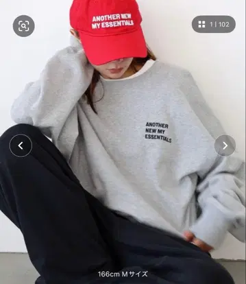 ANME 그레이 로고 자수 ANME 쭈리 맨투맨 상의