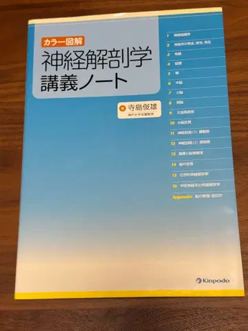 신경해부학 강의 노트