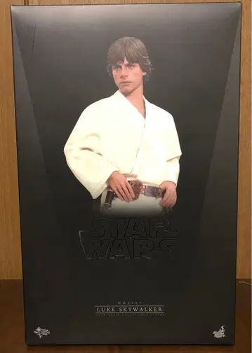 핫토이즈 스타 워즈 에피소드 4 루크 스카이워커 피규어