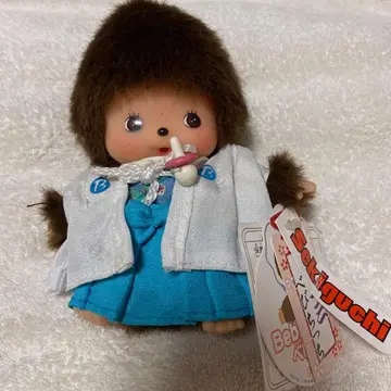 베비치치 남아 시치고산