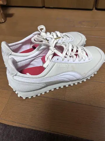 푸마 스트라이더