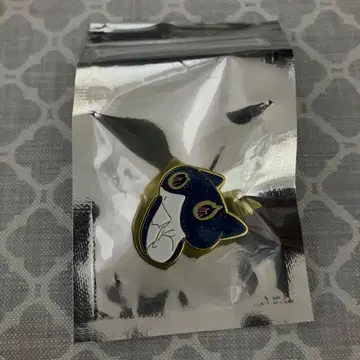 계속 한밤중이면 좋을 텐데 스나네코 라메 믹스 핀즈