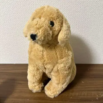 따뜻한 골든 리트리버 긴타로 BIG 봉제 인형