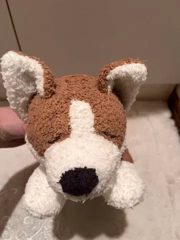 [ 젤라또피케 ] 코기 봉제 인형