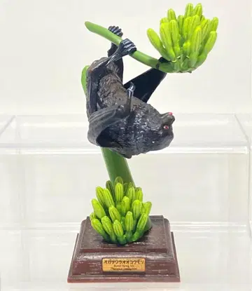 네이처 테크니컬러 오가사와라 편 오가사와라 큰 박쥐